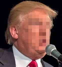 trumpblur